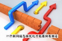 一個新網站怎樣優化才能很快有排名